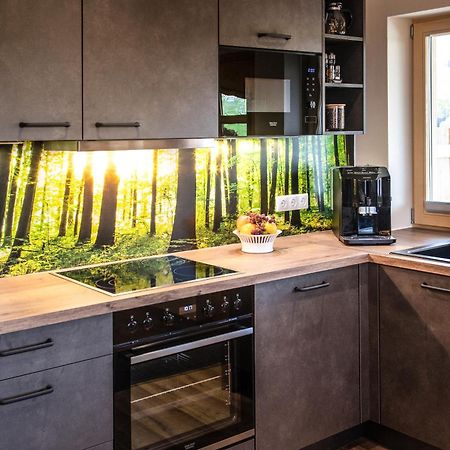 Chalet Waldzeit Zachenberg Экстерьер фото